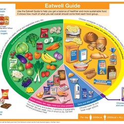 Image for The Eatwell Guide