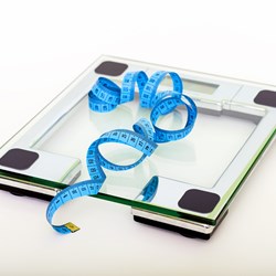 Image for The Importance of Weight Management