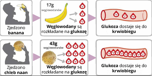 Zjedzono banana / 17 g węglowodanów. Węglowodany są rozkładane na glukozę / Glukoza dostaje się do krwiobiegu : Zjedzono chleb naan / 43 g węglowodanów. Węglowodany są rozkładane na glukozę / Glukoza dostaje się do krwiobiegu ]